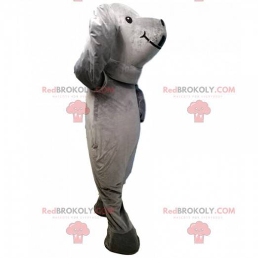 Mascotte foca grigia, costume da leone marino gigante -