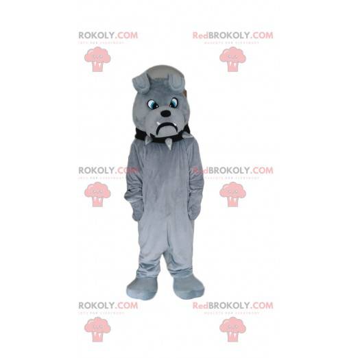 Gray bulldog mascot looking sulky, gray dog costume -