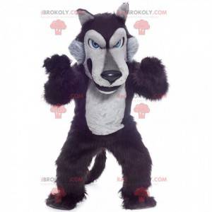 Mascotte zwarte en grijze wolf, hondenkostuum van pluche -