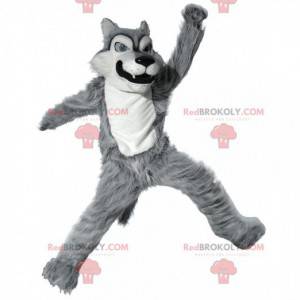 Gray and white wolf mascot, bad hairy wolf costume -