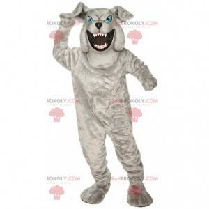 Graues Bulldoggenmaskottchen, das wildes, böses Hundekostüm