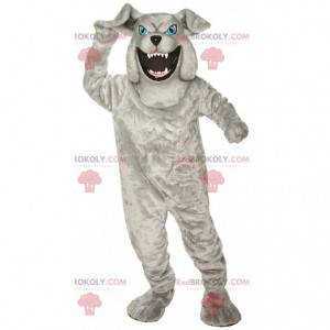 Mascotte bulldog grigio dall'aspetto feroce, costume da cane