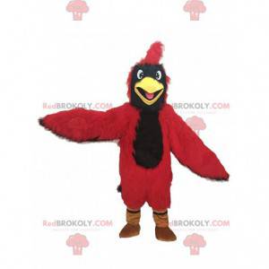 Czerwony kardynał maskotka, gigantyczny kostium ptaka -