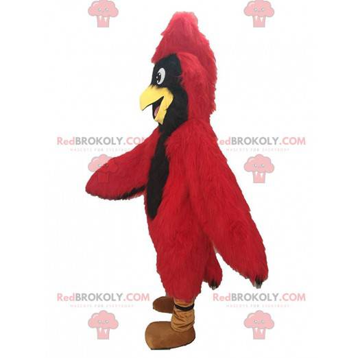 Rød kardinal maskot, gigantisk fugledrakt - Redbrokoly.com