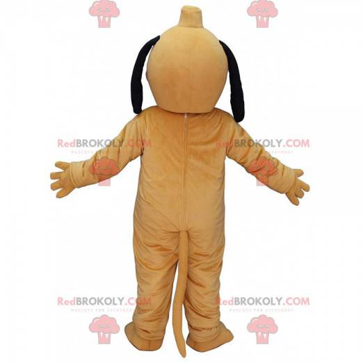 Mascot Pluto, the famous yellow dog from Disney - Redbrokoly.com