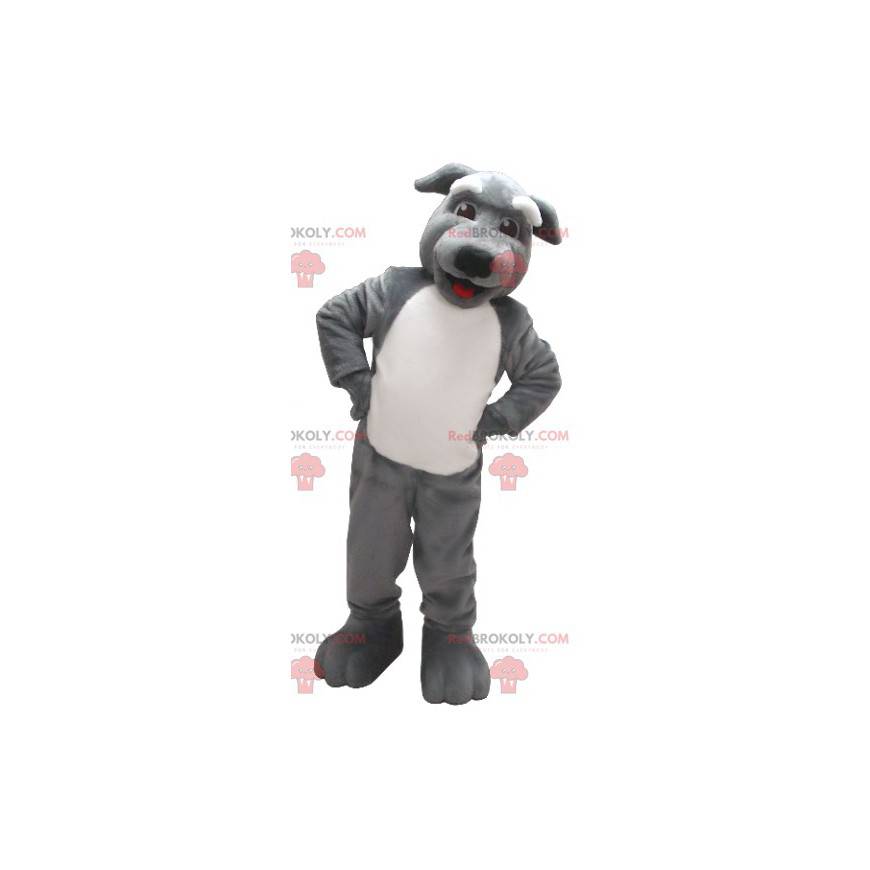 Mascote cachorro cinza e branco - Redbrokoly.com