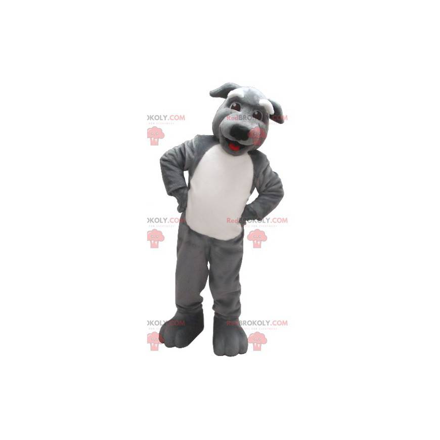 Mascotte de chien gris et blanc - Redbrokoly.com