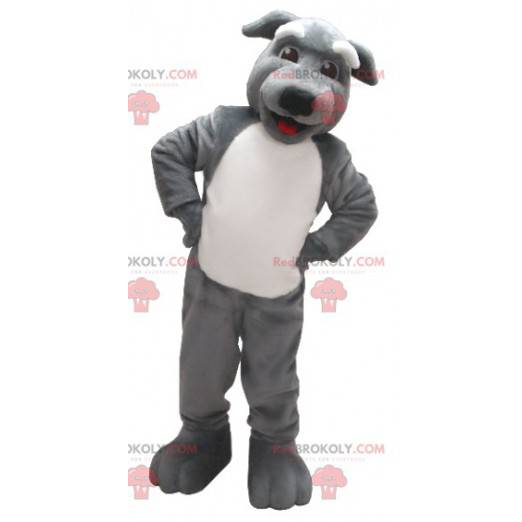 Šedý a bílý pes maskot - Redbrokoly.com