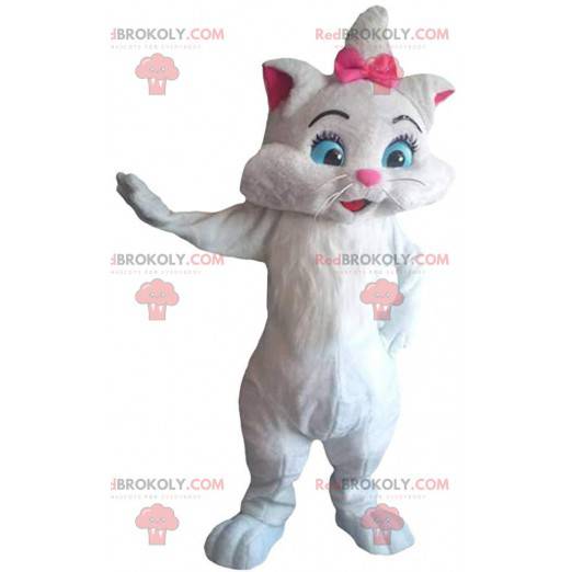 Mascotte van Marie, het beroemde witte katje in "The