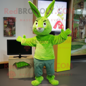 Lime Green Wild Rabbit...