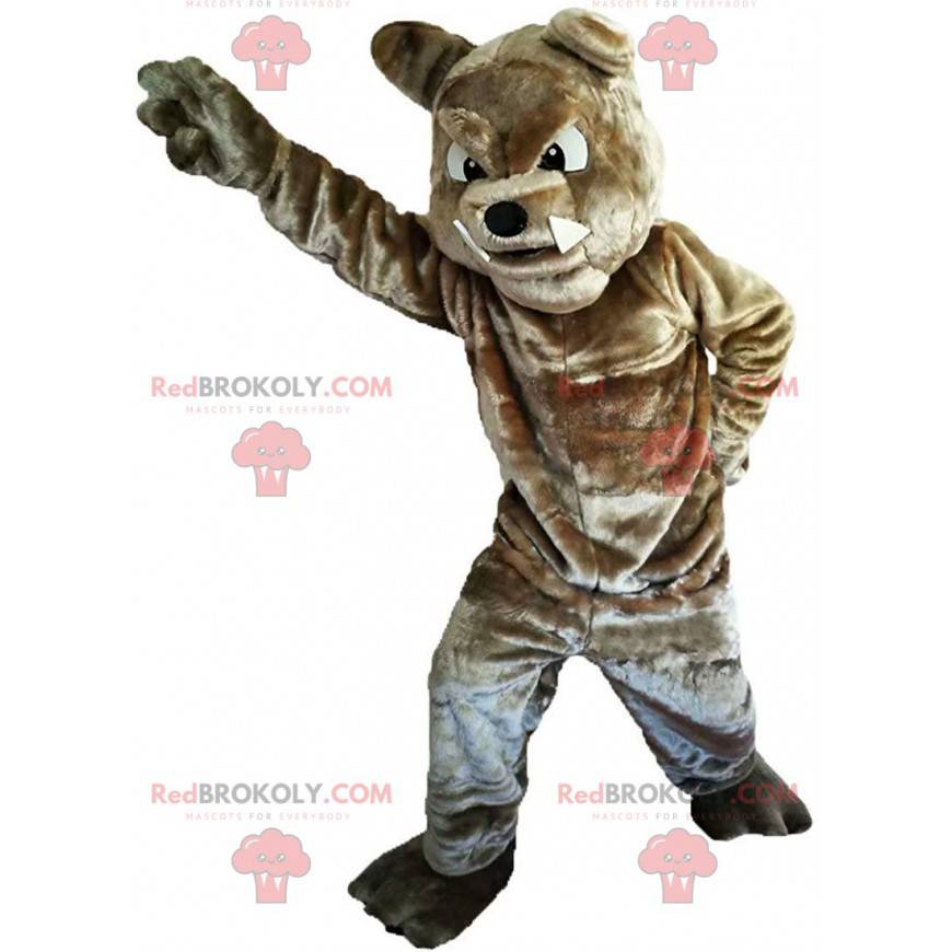 Brown bulldog mascot looking fierce, dog costume -