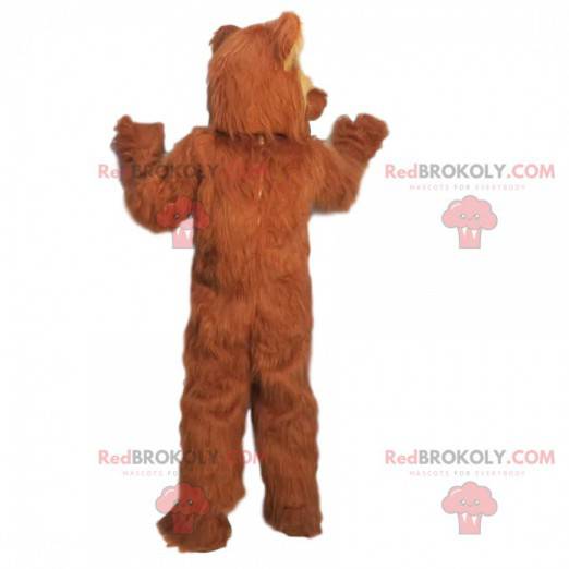 Glutton maskot, behåret brun bjørn ser hård ud - Redbrokoly.com