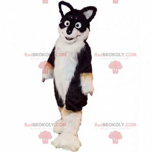 Tricolor husky hundemaskot, hårete hundedrakt - Redbrokoly.com