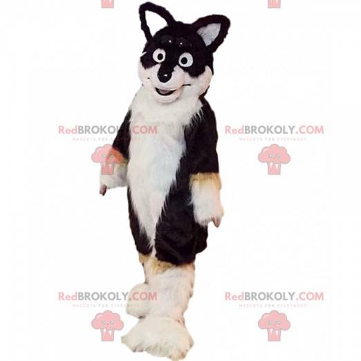 Maskot tříbarevný husky pes, kostým chlupatého psa -