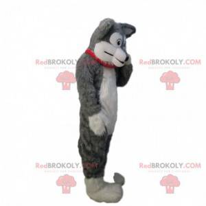 Soft and hairy gray and white dog mascot, dog costume -