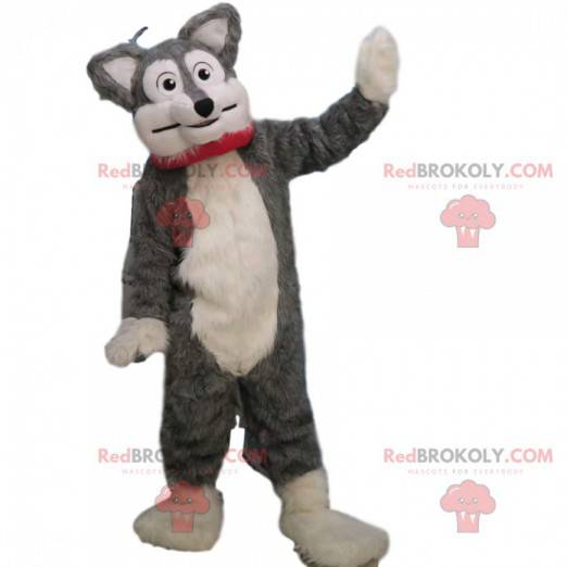 Soft and hairy gray and white dog mascot, dog costume -