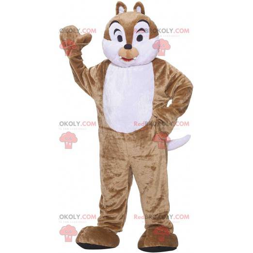 Maskot Tic nebo Tac, slavná veverka kreslený - Redbrokoly.com