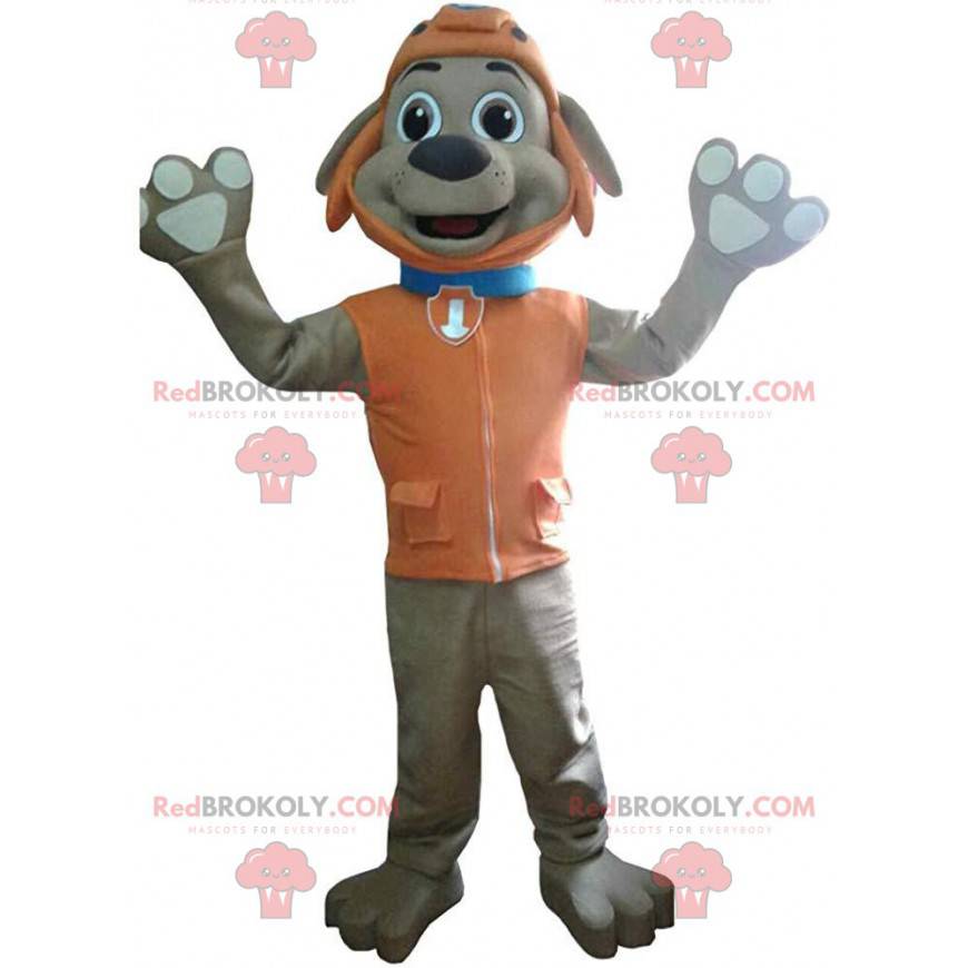 Mascot Zuma, de beroemde bruine hond in "Paw Patrol" -