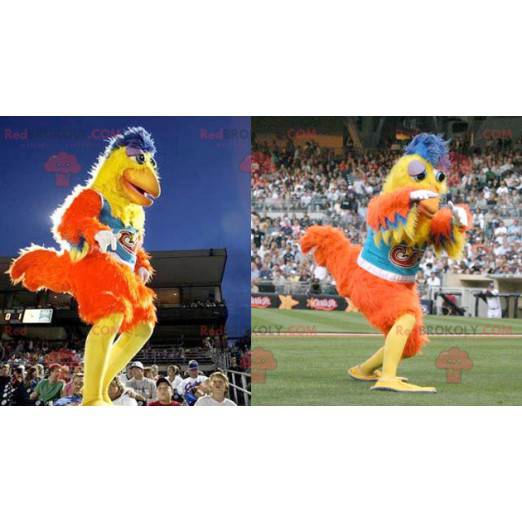 Orange and blue yellow hen rooster mascot - Redbrokoly.com