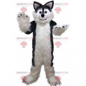 Mascotte de husky gris et blanc, costume de chien poilu et doux