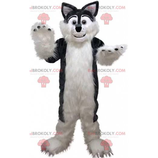 Gray and white husky mascot, hairy and soft dog costume -