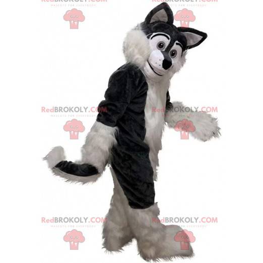 Mascote de husky cinza e branco, fantasia de cachorro peludo e