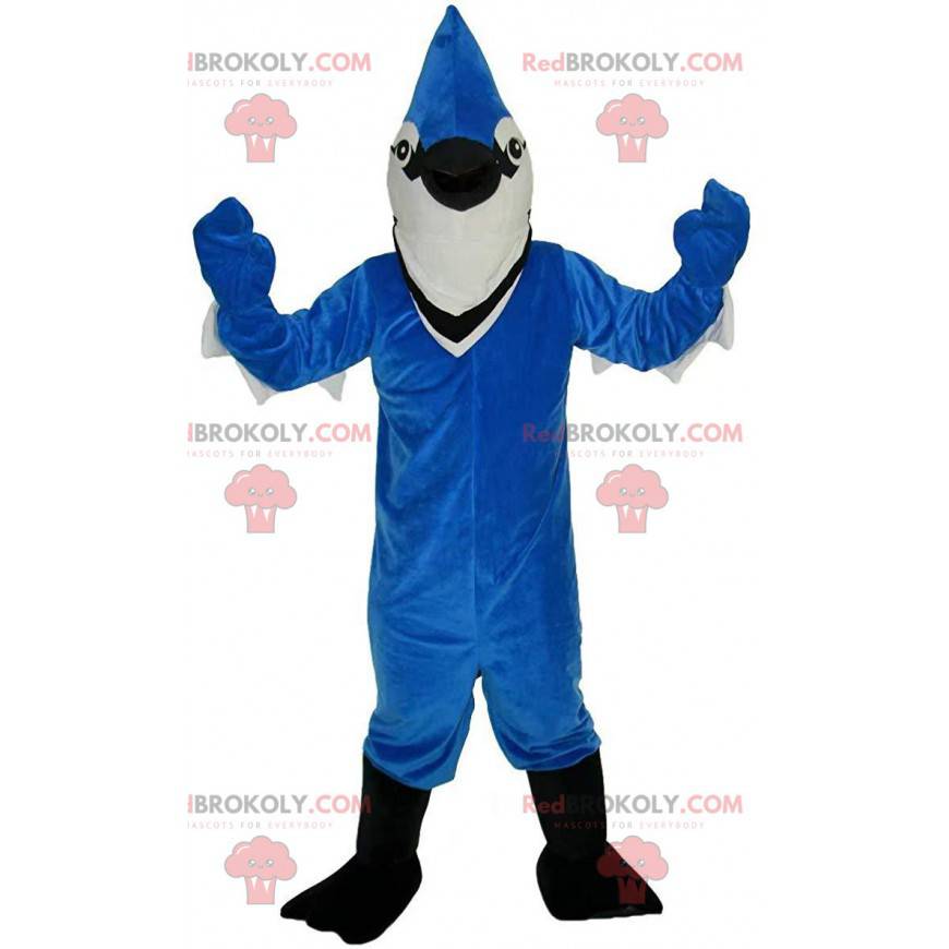 Blue and white jay mascot, beautiful colorful bird costume -