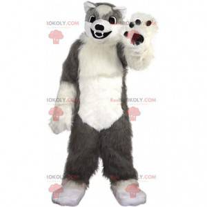 Mascotte de chien gris et blanc doux et poilu, costume de loup