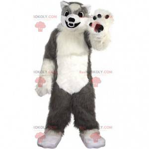 Soft and hairy gray and white dog mascot, wolf costume -