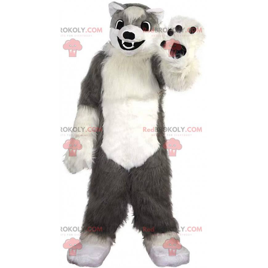 Mascota de perro gris y blanco suave y peludo, disfraz de lobo
