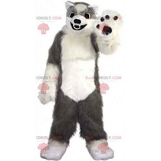 Měkký a chlupatý šedo-bílý psí maskot, kostým vlka -