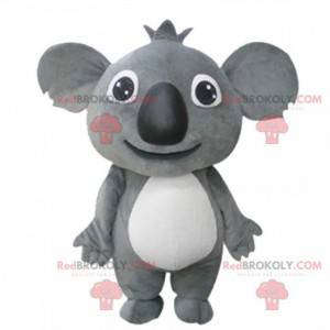Giant and touching gray koala mascot, plush koala -