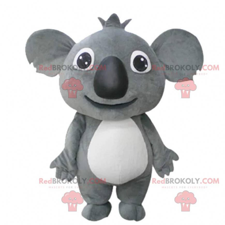 Gigante e commovente mascotte koala grigio, koala peluche -