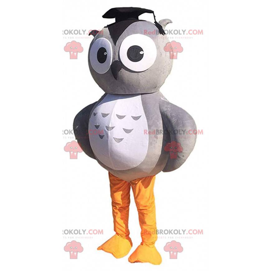 Mascote coruja cinza e branca com chapéu de morteiro - Mascote coruja cinza e branca com chapéu de morteiro -