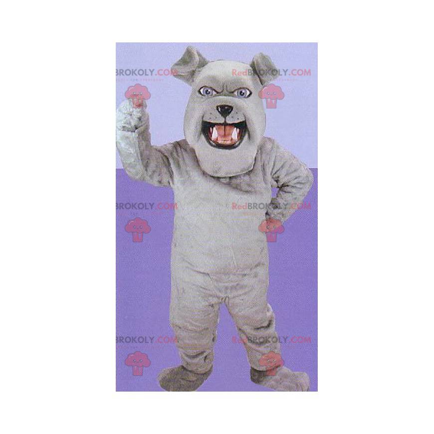 Grå bulldog maskot - Redbrokoly.com