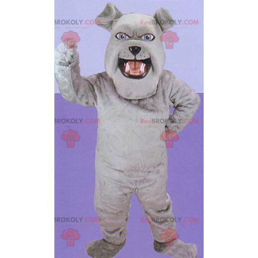 Grijze bulldog mascotte - Redbrokoly.com