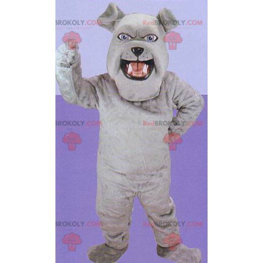 Grå bulldog maskot - Redbrokoly.com