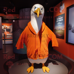 Orangefarbener Albatros...