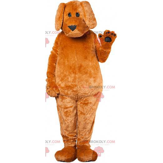 Brown dog mascot touching floppy ears - Redbrokoly.com