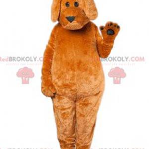 Mascote cachorro marrom tocando orelhas moles - Redbrokoly.com