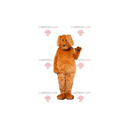 Brown dog mascot touching floppy ears - Redbrokoly.com