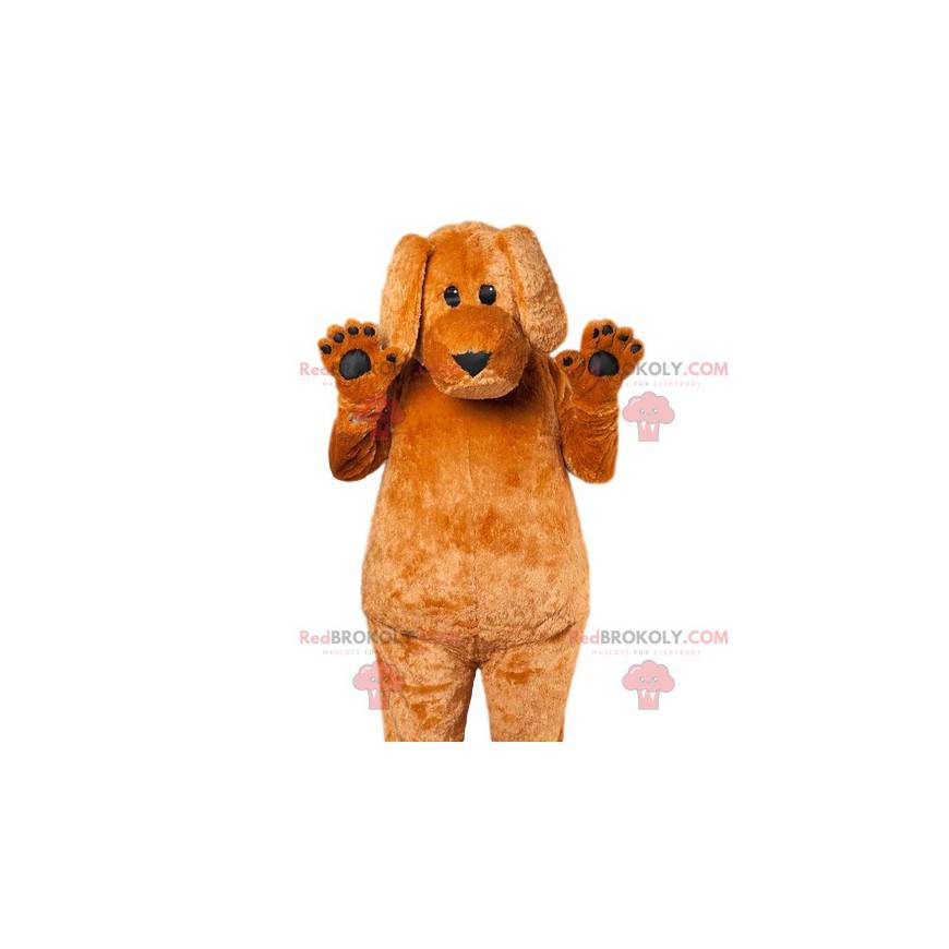 Brun hundemaskot som berører floppyører - Redbrokoly.com