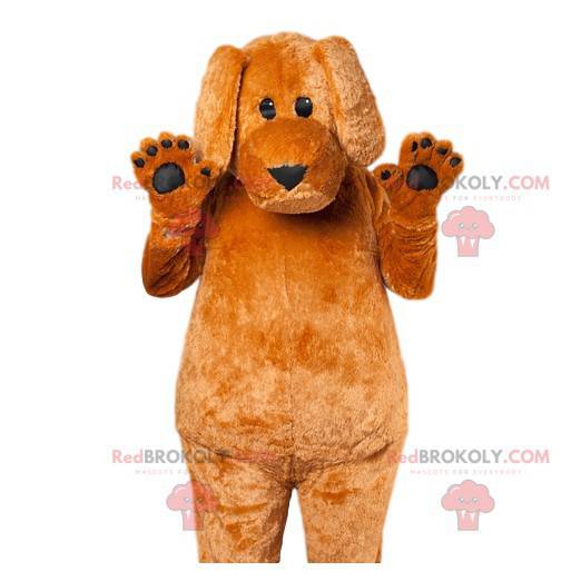 Mascote cachorro marrom tocando orelhas moles - Redbrokoly.com