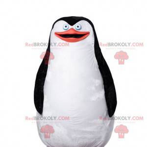 Mascota del pingüino, hermoso plumaje blanco y negro -