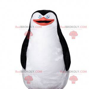 Mascote pinguim, bela plumagem preta e branca - Redbrokoly.com