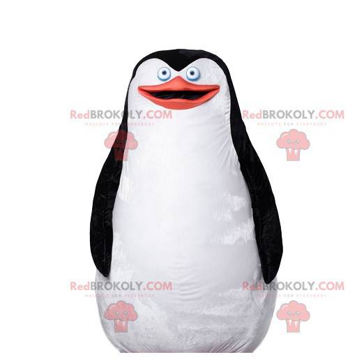 Mascote pinguim, bela plumagem preta e branca - Redbrokoly.com