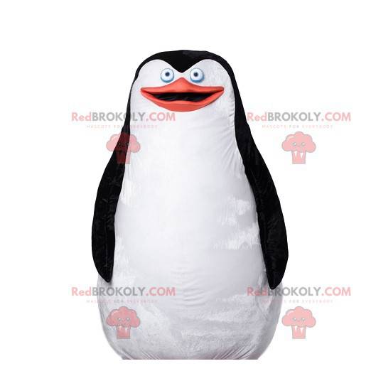 Pinguin-Maskottchen, schönes Schwarzweiss-Gefieder -