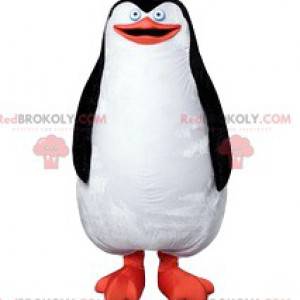 Mascota del pingüino, hermoso plumaje blanco y negro -