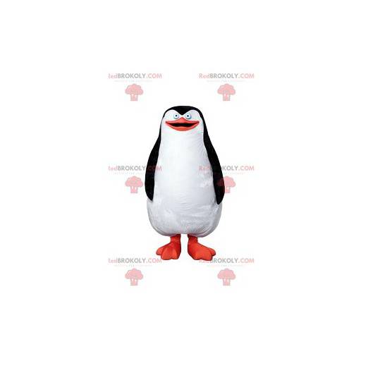 Mascota del pingüino, hermoso plumaje blanco y negro -