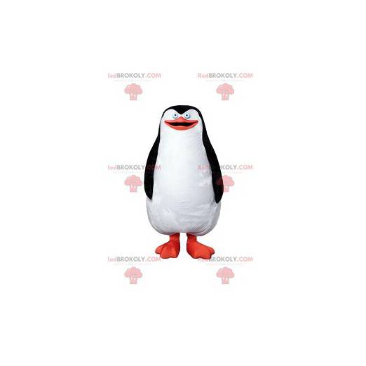Mascote pinguim, bela plumagem preta e branca - Redbrokoly.com